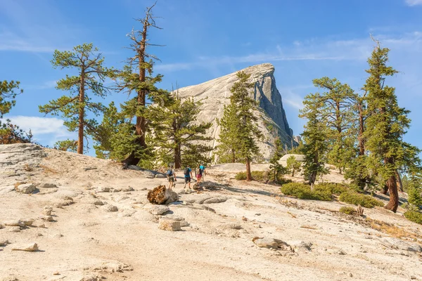 Half Dome en el Parque Nacional Yosemite, California, EE.UU. — Foto de Stock