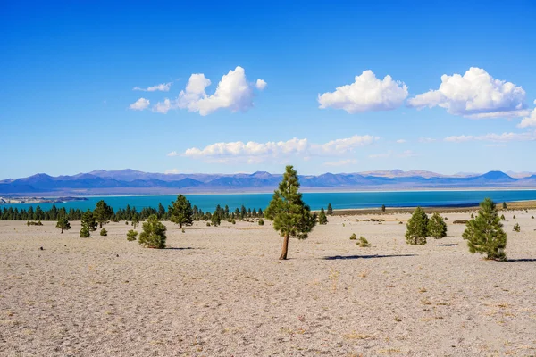 Mano lake California, USA — Stock Photo, Image