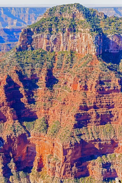 Vista desde el borde norte del Gran Cañón —  Fotos de Stock