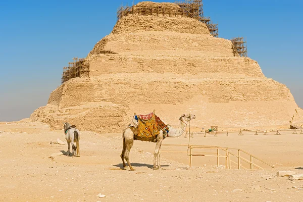 Πυραμίδα της Νέας Υόρκης, Αίγυπτος — Φωτογραφία Αρχείου
