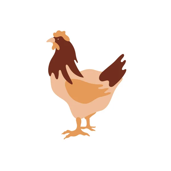 The silhouette of a chicken consists of multi-colored segments. Agriculture. — Stock Vector