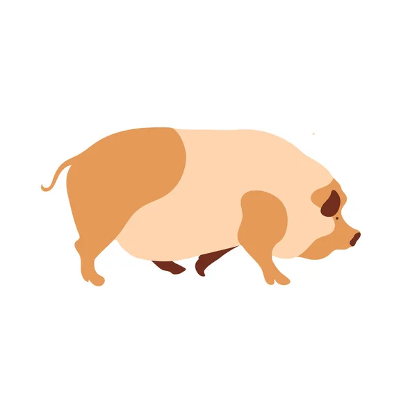 Silhouette de porc faite de segments multicolores. Illustration agricole. — Image vectorielle