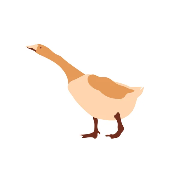 Vectorafbeelding van een gans. Meerkleurige segmenten. Landbouw. Vectorillustratie. — Stockvector