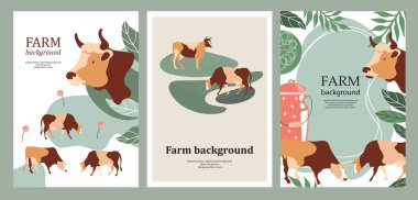 Agricultural background. Cows in the pasture. A set of banners. clipart