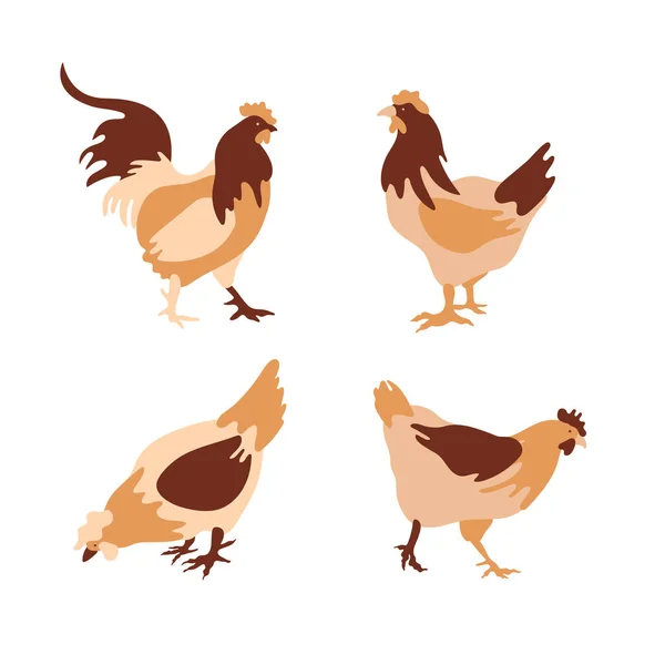 The silhouette of a chicken consists of multi-colored segments. Agriculture. — Stock Vector