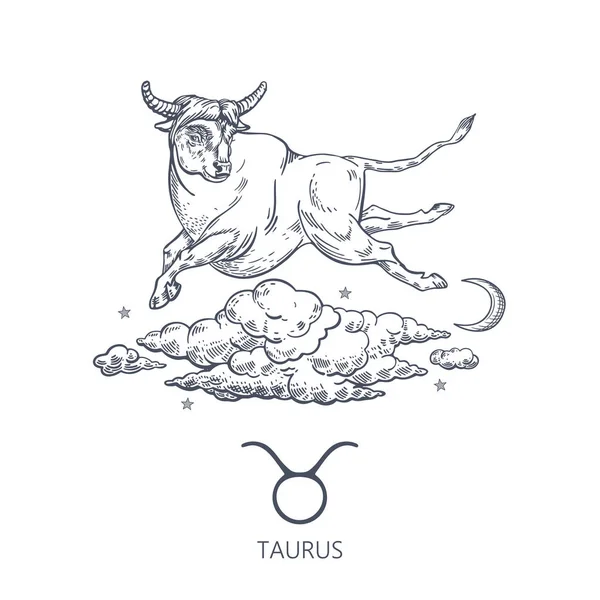 Taurus Zodiac znamení. Býk letí v oblacích. Astrologie. — Stockový vektor
