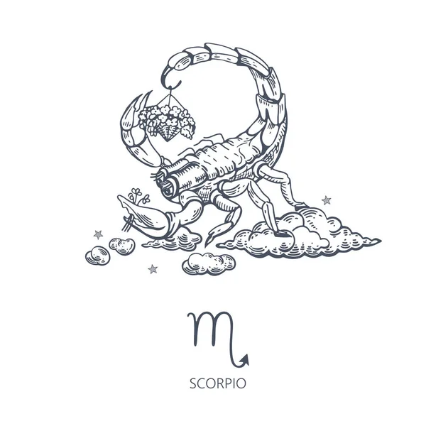 Scorpione segno zodiacale. Scorpione tra le nuvole. Cesto di fiori. — Vettoriale Stock