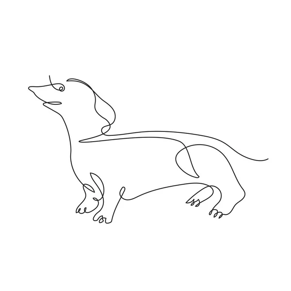 Dachshund. El perro está dibujado en una línea. Gráficos minimalistas. — Vector de stock