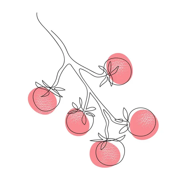 Tomates de cereja em um ramo. Desenho vintage. Gravura. — Vetor de Stock