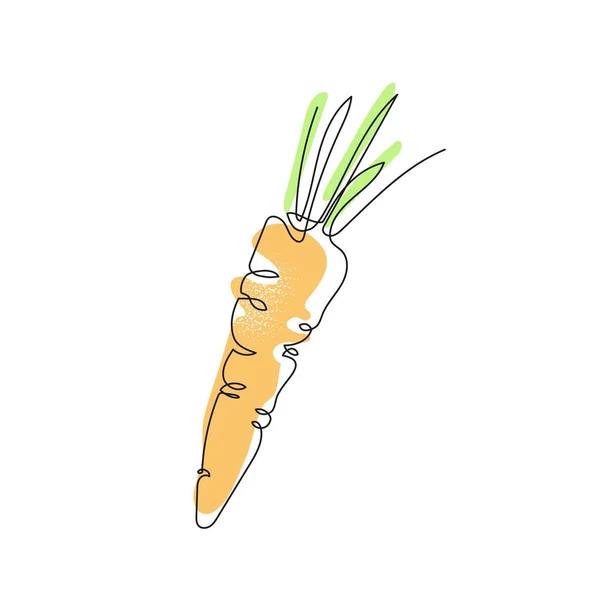 Les carottes sont dessinées avec une seule ligne. L'agriculture. Alimentation végétarienne. — Image vectorielle