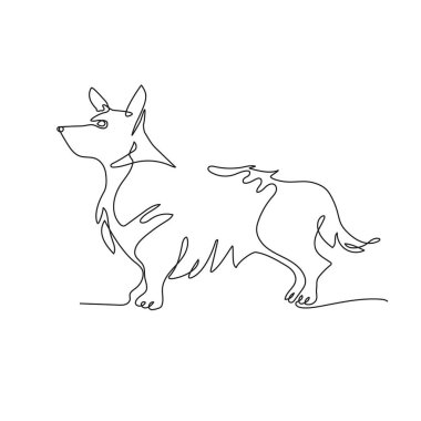 Galli Corgi Pembroke. Köpek tek sıra halinde çekilir. Minimalist grafikler.