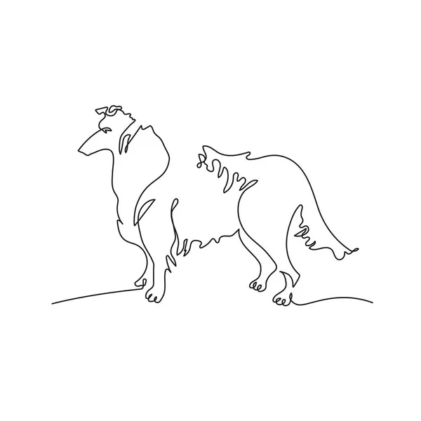 Collie. Der Hund wird in einer Linie gezogen. Minimalistische Grafik. — Stockvektor