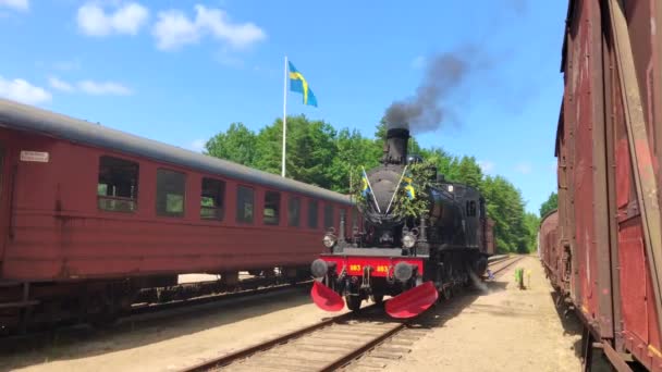 スウェーデンのスカニアにあるBroesarp博物館鉄道の蒸気機関車 — ストック動画