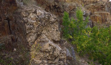 Ukrayna 'nın Mykolaiv bölgesindeki Elanets köyünde terk edilmiş bir granit ocağında.