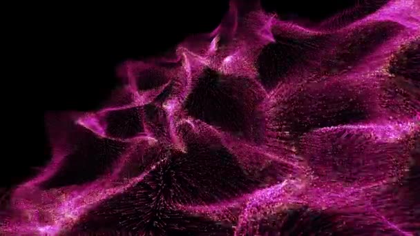 ピンクの粒子効果 背景とタイトルについて — ストック動画