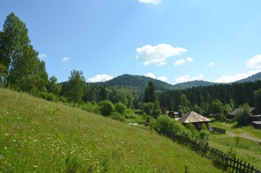 Altay dağ yamacı
