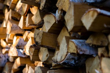 Bir kereste yığınında huş ağacı odunu