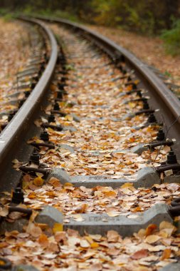 Terk edilmiş demiryolu sabah sislerin içinde ormanda.