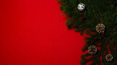 Ladin dallı noel kompozisyonu