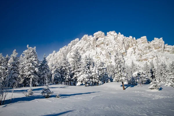 Naaldbos Sneeuw Een Heldere Winterdag Winterlandschap Met Bergtop Achtergrond Rechtenvrije Stockfoto's