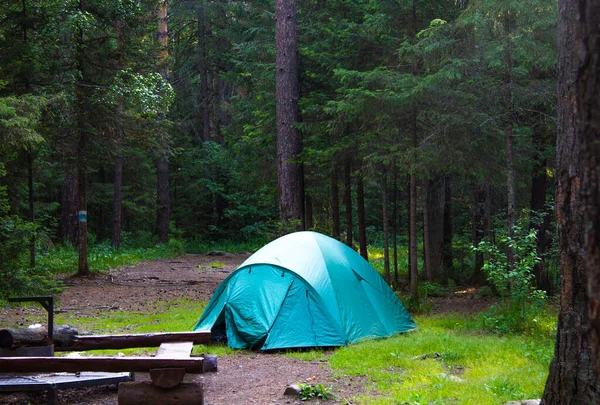 Toeristische Tent Een Open Plek Het Nationale Park Morgen — Stockfoto
