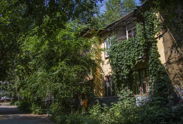 Old House Overgrown Wild Grapes — Stock Photo, Image