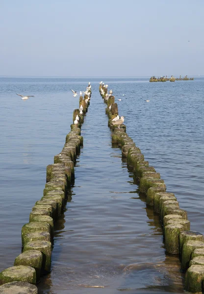 Strand an der Ostsee — Stockfoto