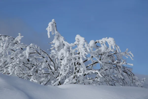 Winter in the moutains — Stock Photo, Image