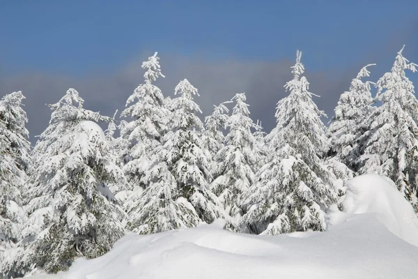 Winter in the moutains — Stock Photo, Image