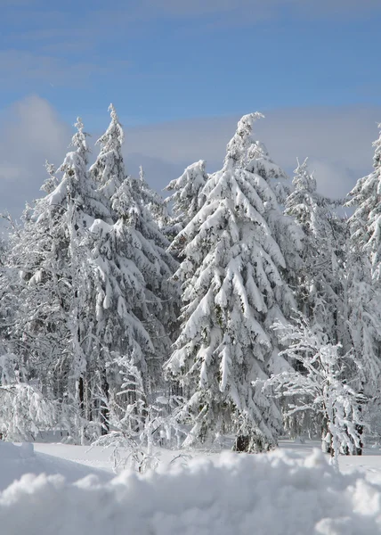 Winter in the moutains — Stock Photo, Image