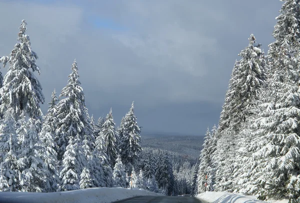 Winter in the moutains — Stock Photo, Image