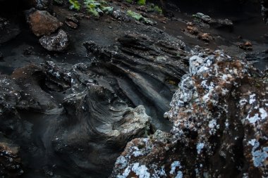 Yosun ile katman mevduat