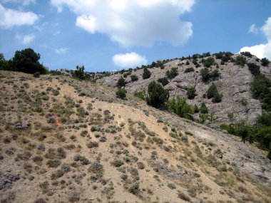 Taşlı dağların yamaçlarında seyrek çalılar koyu yeşildir..