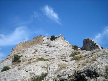 Taşlı dağların yamaçlarında seyrek çalılar koyu yeşildir..
