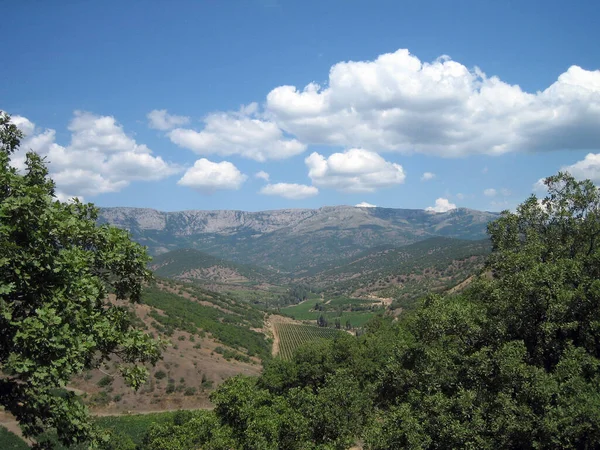 Vista Vale Montanhas Colinas Coberto Com Uma Floresta Árvores Baixas — Fotografia de Stock