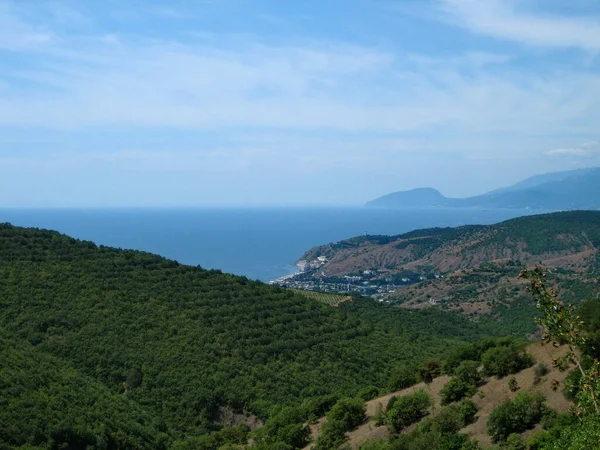 Μια Κοιλάδα Που Καλύπτεται Από Πυκνό Δάσος Χαμηλής Ανάπτυξης Και — Φωτογραφία Αρχείου