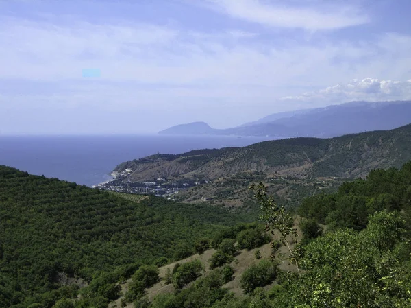 Μια Κοιλάδα Που Καλύπτεται Από Πυκνό Δάσος Χαμηλής Ανάπτυξης Και — Φωτογραφία Αρχείου