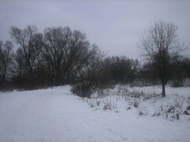 Bulutlu bir kış gününde Rus eski köyündeki kırsal sebze bahçeleri. Toprak, ağaçlar ve çalılar karla kaplıdır..