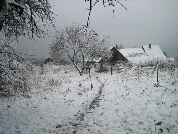 Vecchie Case Legno Orti Innevati Villaggio Russo Inverno Con Tempo — Foto Stock