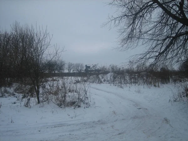 Alte Holzhäuser Und Schneebedeckte Gemüsegärten Einem Russischen Dorf Winter Bei — Stockfoto