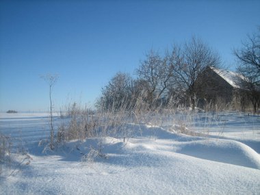 Kışın sıradan bir Rus köyü. Evler, barakalar, ağaçlar, sebze bahçeleri kar yığınlarıyla kaplı. Kar güneşte gümüş renginde. Açık mavi gökyüzü. Soğuk.