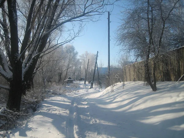 Een Gewoon Russisch Dorp Winter Huizen Loodsen Bomen Moestuinen Zijn — Stockfoto