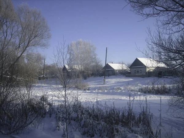 Zwykła Rosyjska Wioska Zimą Domy Szopy Drzewa Ogrody Warzywne Pokryte — Zdjęcie stockowe