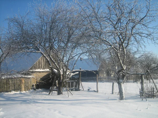 一个普通的俄罗斯村庄在冬天 菜园都被积雪覆盖着 白雪在阳光下显得银光闪闪 — 图库照片