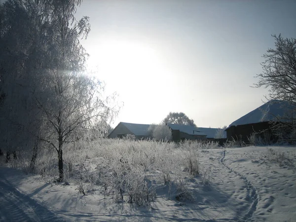 Uma Aldeia Russa Comum Inverno Casas Galpões Árvores Hortas São — Fotografia de Stock