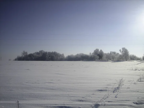 寒冷的天气里 覆盖着积雪的冬季田野 明亮的阳光使人眼花缭乱 但并不温暖 — 图库照片