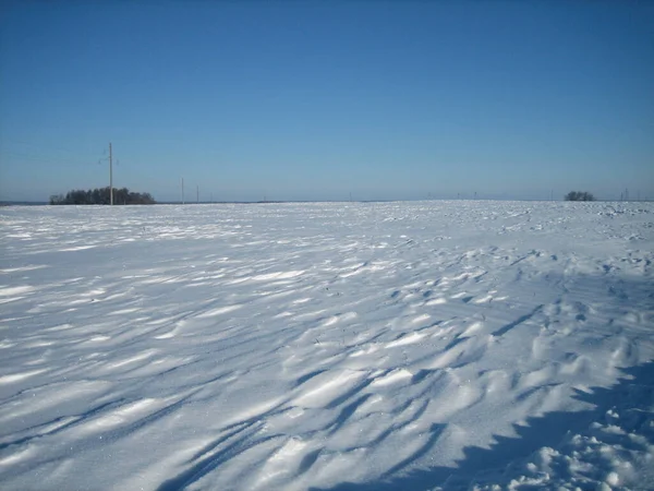 Soğuk Bir Günde Açık Bir Kar Tarlası Uzakta Düz Bir — Stok fotoğraf