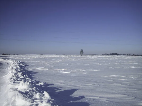 Soğuk Bir Günde Açık Bir Kar Tarlası Uzakta Düz Bir — Stok fotoğraf