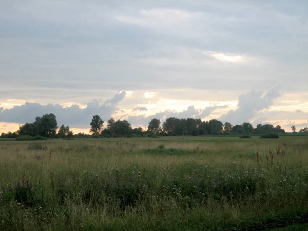 Przez Chmury Jasny Szkarłatny Zachód Słońca Rozprzestrzenia Się Niebie Nad — Zdjęcie stockowe