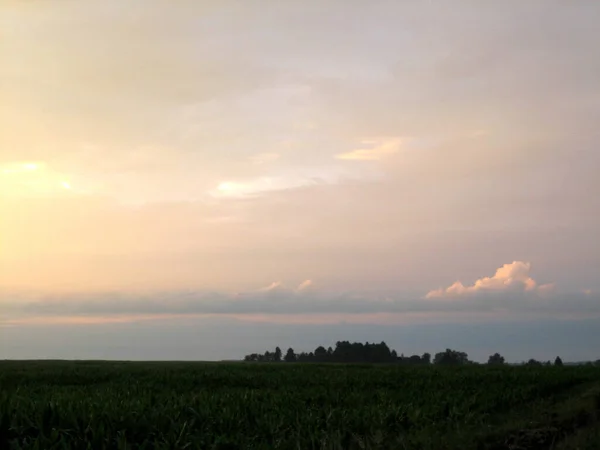 雲の中には 時間の遅い時間に無限のフィールドに空に鮮やかな緋色の夕日が広がっています — ストック写真